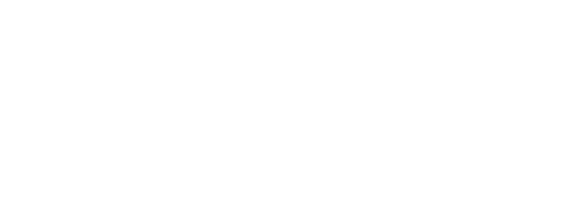 Maverick Inventor